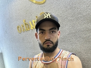 Pervertedboy7inch