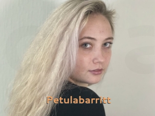 Petulabarritt