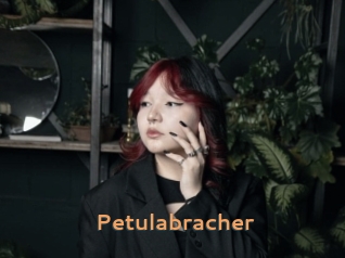Petulabracher