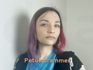 Petulacrammer