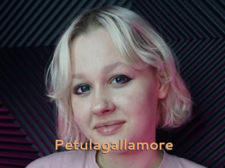 Petulagallamore