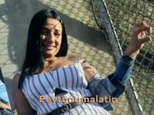 Peytonumalatin