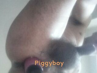 Piggyboy