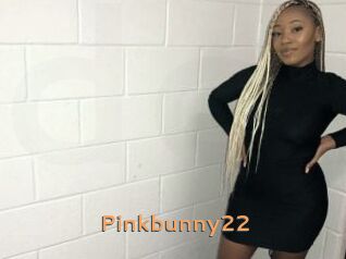 Pinkbunny22
