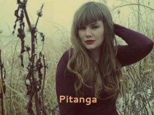 Pitanga