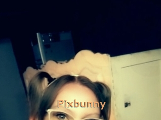 Pixbunny