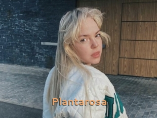 Plantarosa