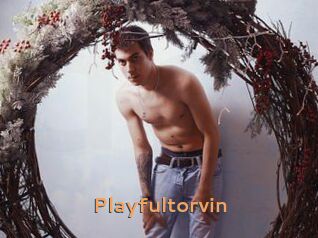 Playfultorvin