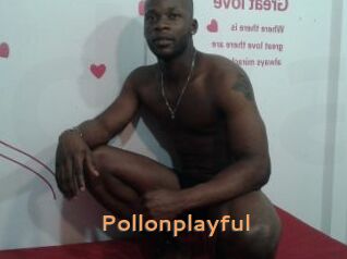 Pollonplayful