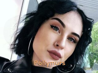 Pollymurs