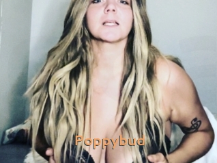 Poppybud