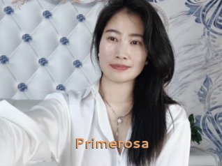 primerosa Du Cul A Gogo