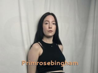 Primrosebingham