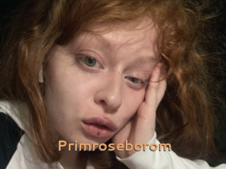 Primroseborom
