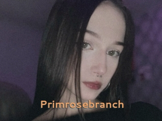 Primrosebranch