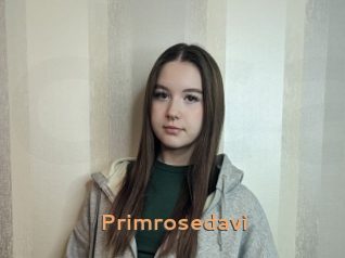 Primrosedavi