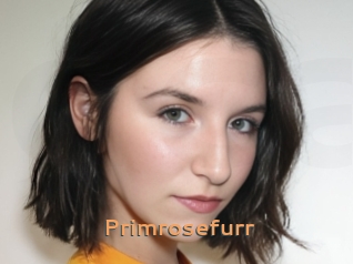Primrosefurr