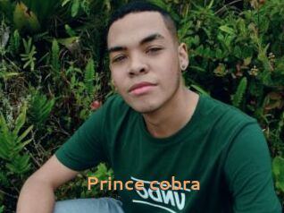 Prince_cobra