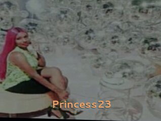 Princess23