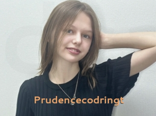 Prudencecodringt