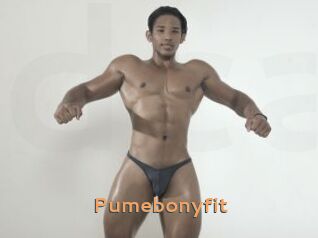 Pumebonyfit