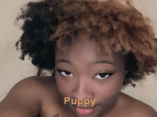 Puppy