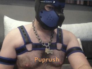 Puprush