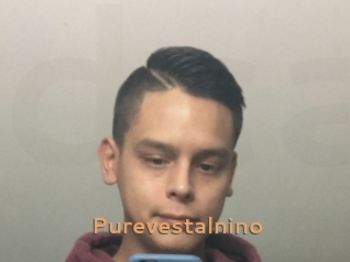 Purevestalnino