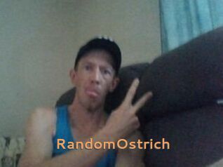 RandomOstrich