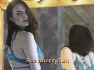 RaspberryFun