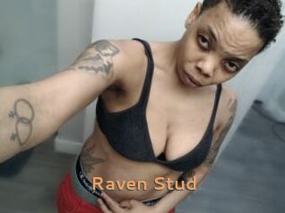 Raven_Stud