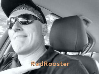 RedRooster