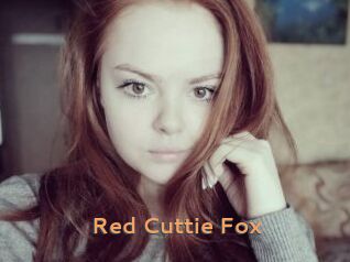 Red_Cuttie_Fox
