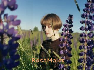 RosaMalet