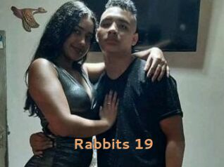 Rabbits_19