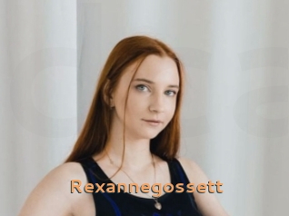 rexannegossett Du Cul A Gogo