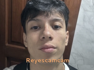 reyescamcam Du Cul A Gogo