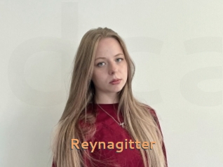 Reynagitter