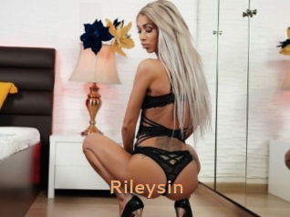 rileysin Du Cul A Gogo