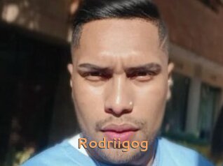 Rodriigog