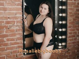 Rosaliebigboobs