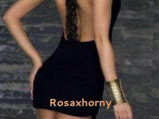 rosaxhorny Du Cul A Gogo