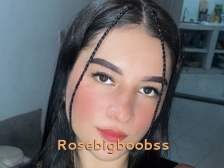 Rosebigboobss