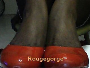 Rougegorge