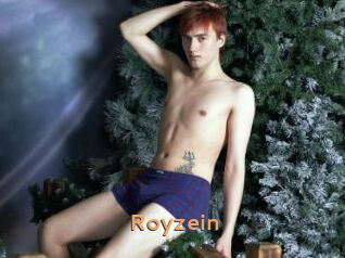 Royzein