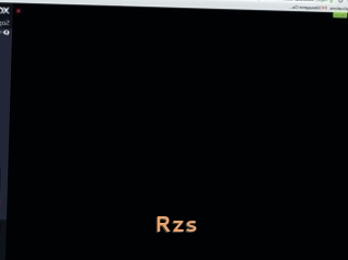Rzs