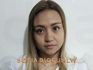 SOFIA_BIGCUMLW