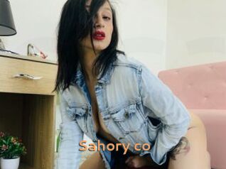 Sahory_co