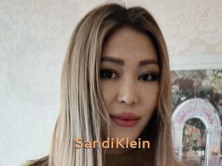 SandiKlein
