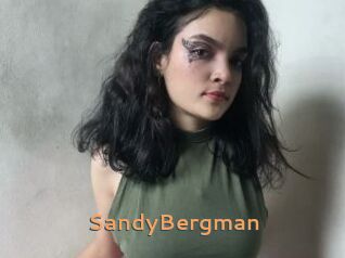 SandyBergman
